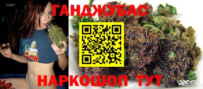 apvp Гагарин