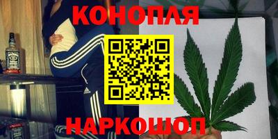 мдпв Гатчина