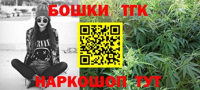 мдпв Гатчина