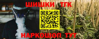 мдпв Гатчина