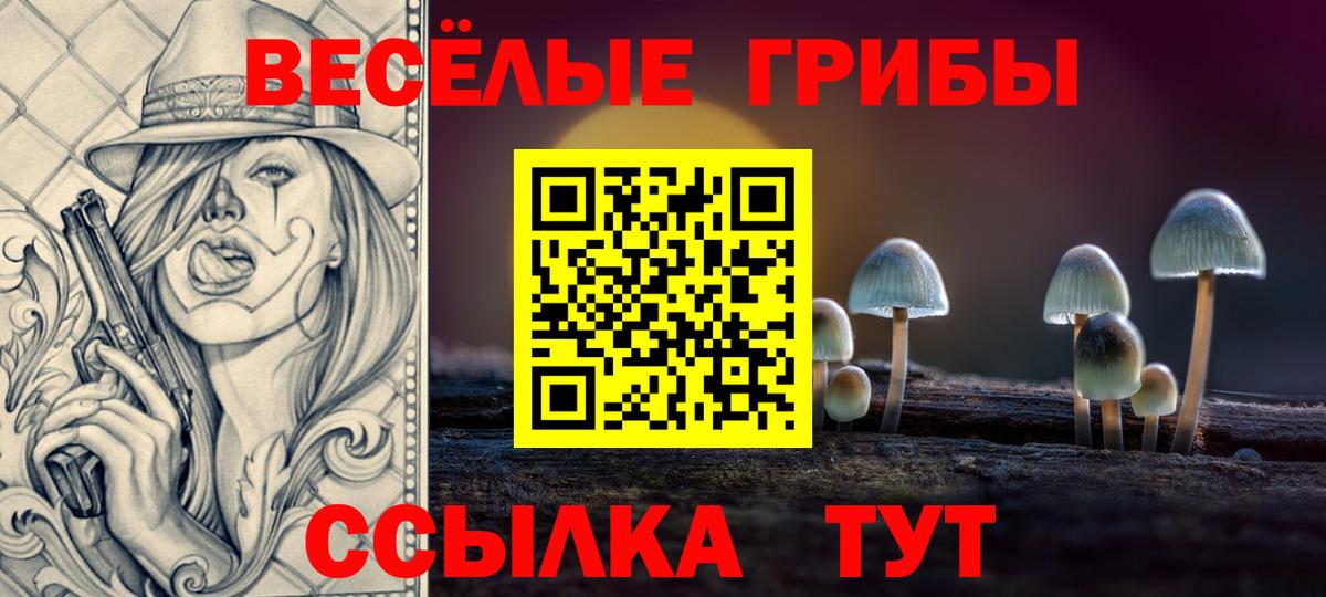 Псилоцибиновые грибы Psilocybine cubensis Кизилюрт